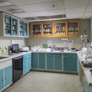 Lab
